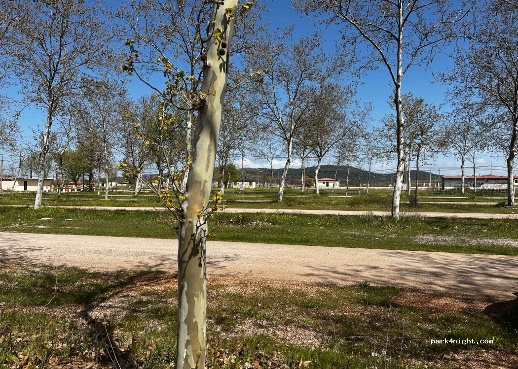 (10195) Cáceres‎ - Carr. de Mérida — foto 2