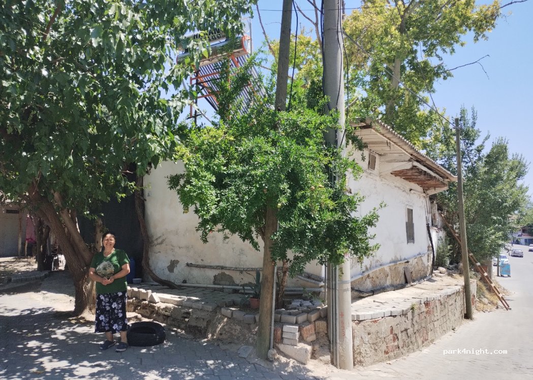 (20190) Pamukkale - 71 Mehmet Akif Ersoy Bulvarı — foto