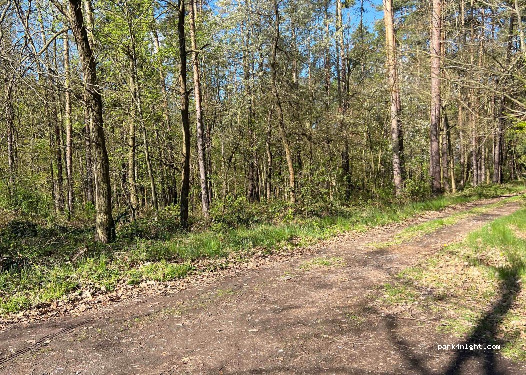 (270 04) Kolešov - — foto 2