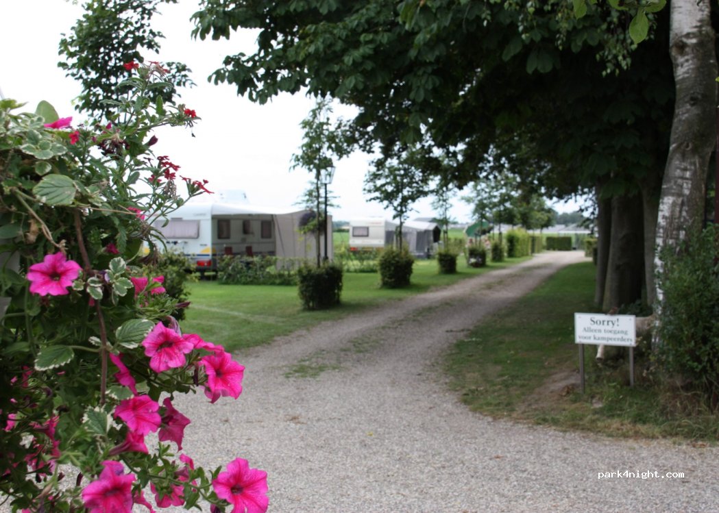 Camping de Rooëjbes Neer — foto 3