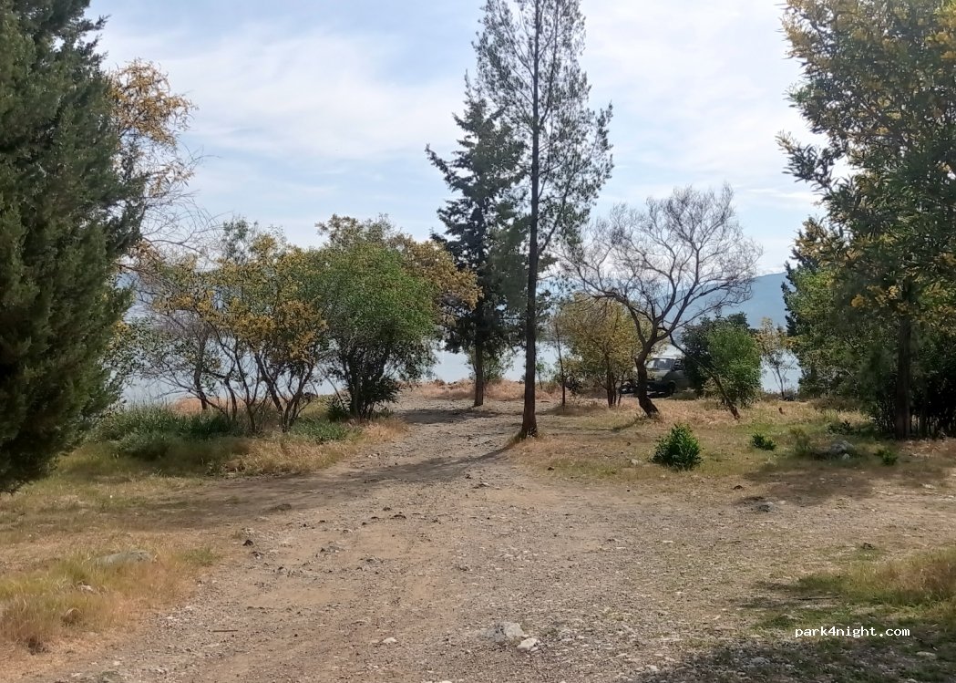 (48300) Muğla - — foto 2