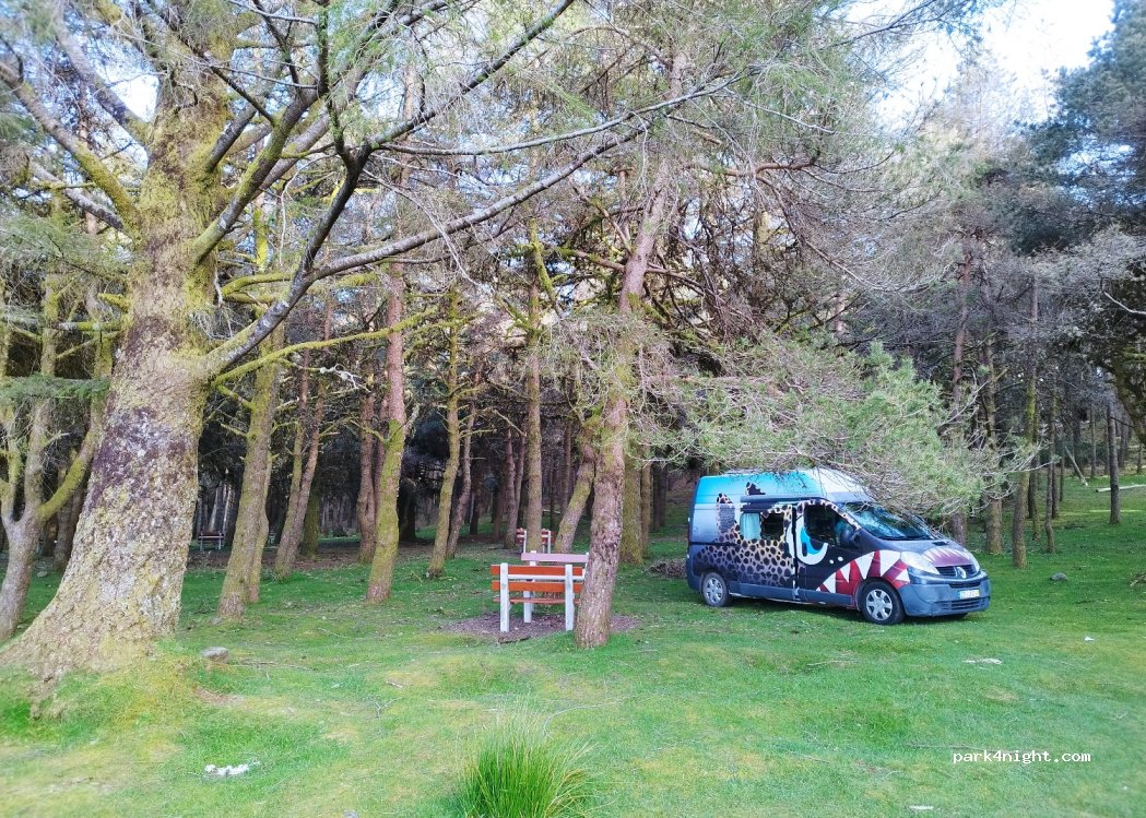 (P475+29) Camacha - Unnamed Road — foto