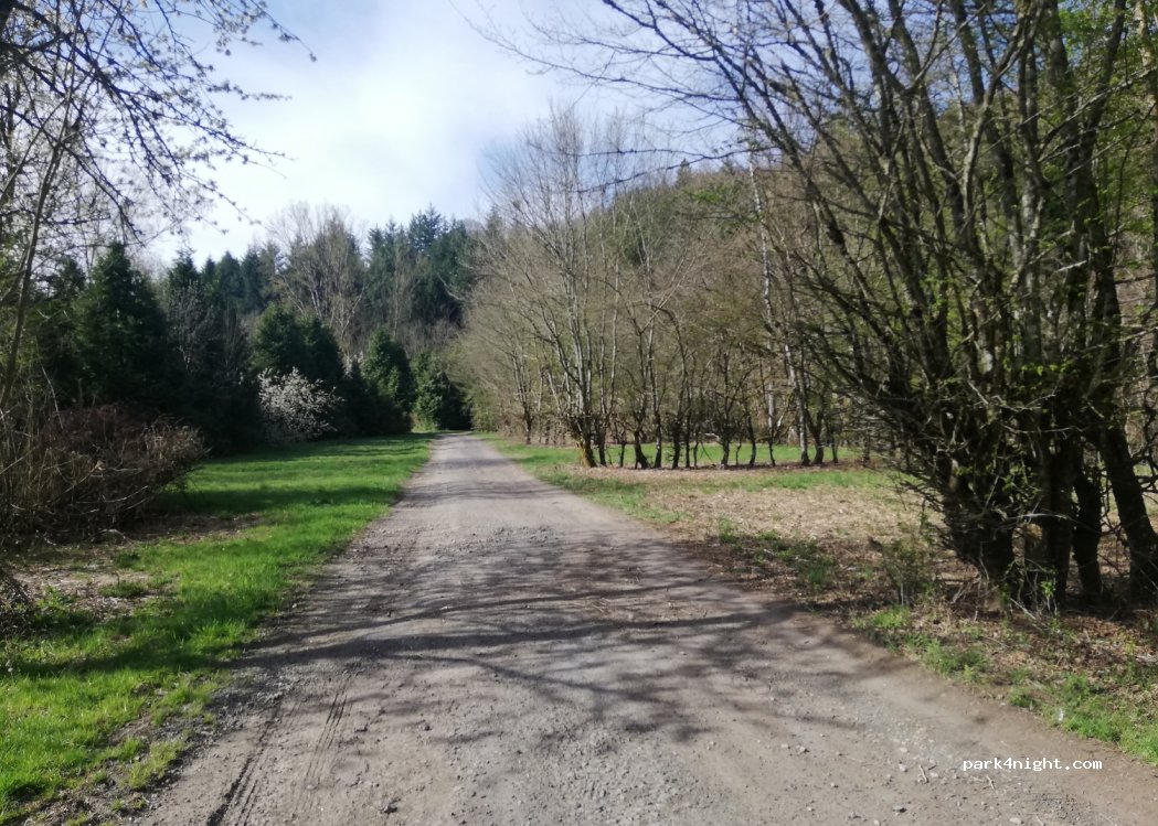 (63480) Vertolaye - 63 Le Vernet de Doré — foto 3