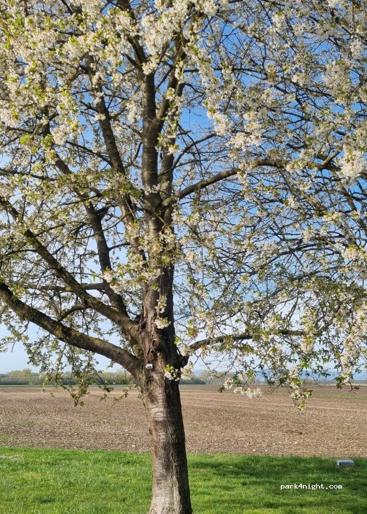 (68320) Grussenheim - Unnamed Road — foto 2