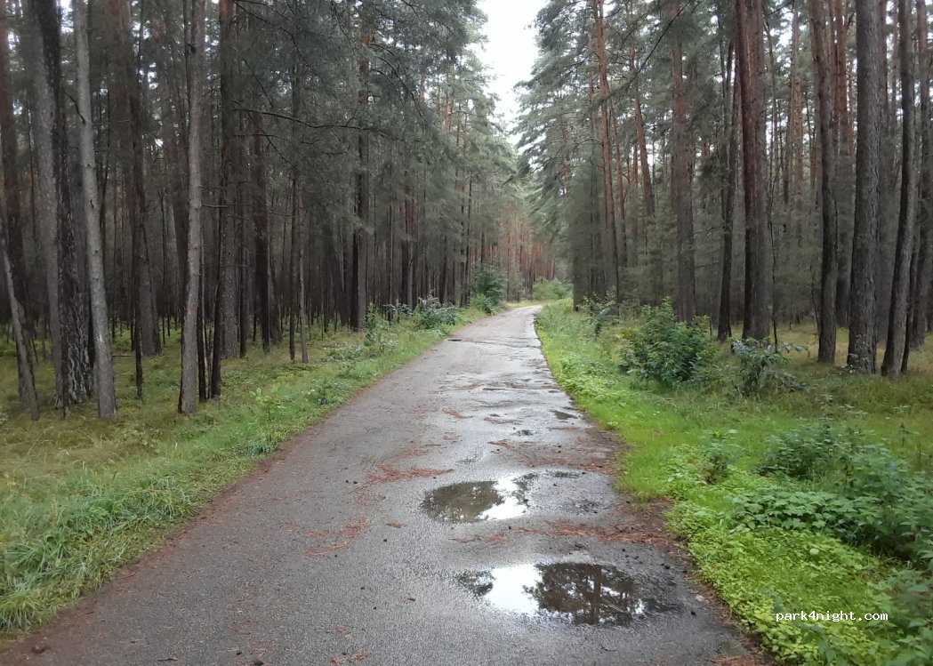 (91154) Roth - Unnamed Road — foto 2