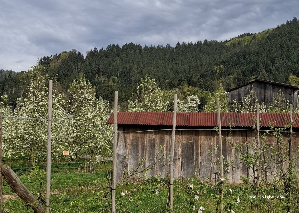(77781) Biberach - 1 Fröschbach — foto 5
