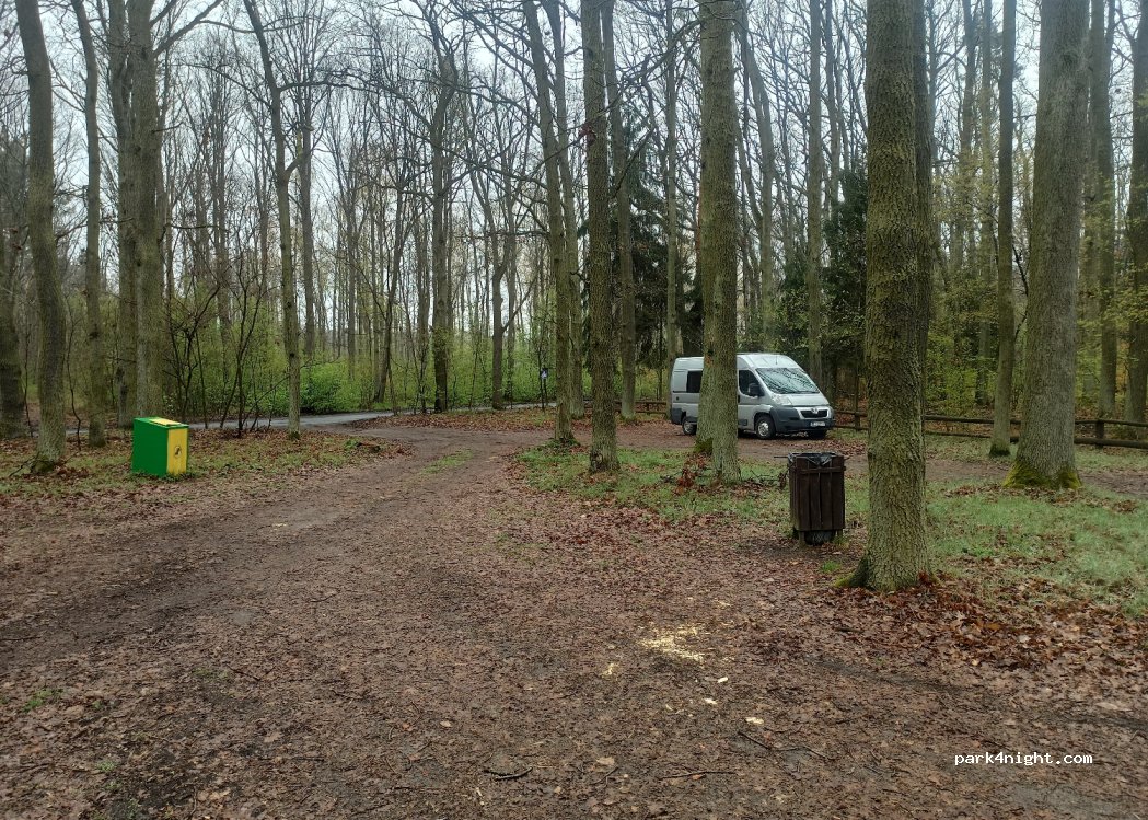 (56) Wilczyn Leśny - Unnamed Road — foto