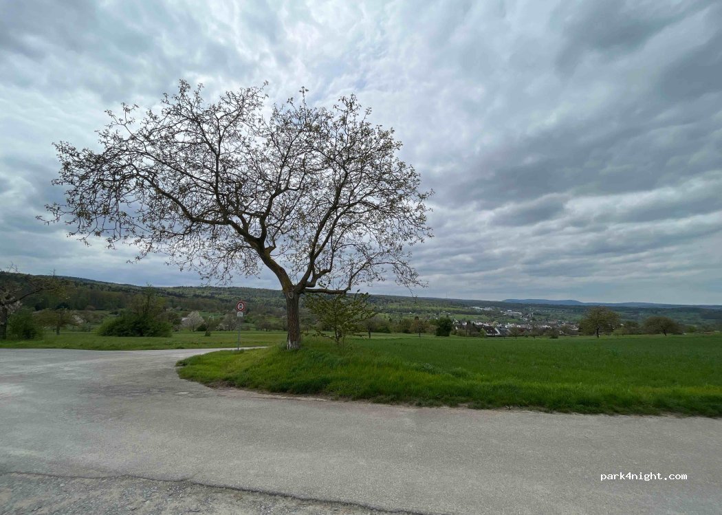 (75217) Birkenfeld - — foto 2