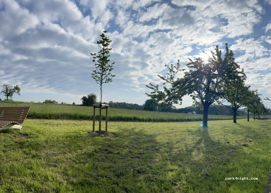 (75217) Birkenfeld - — foto 4