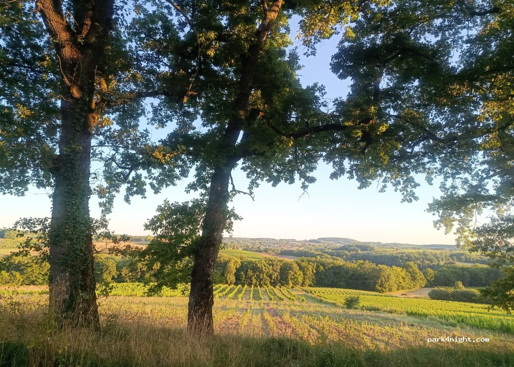 Château Les Hauts De Caillevel — foto 3