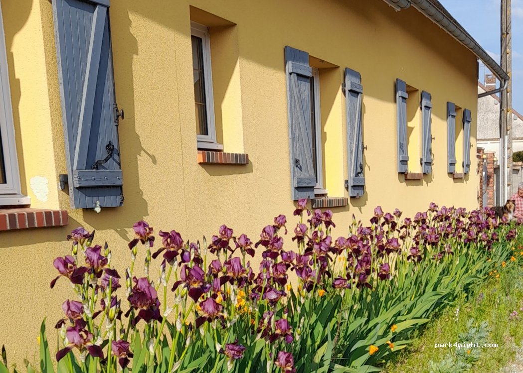 (28190) Orrouer - 12 Rue des Fontaines — foto