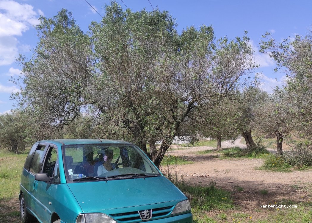 (17257) Torroella de Montgrí - 39 Avinguda de Francesc Macià — foto