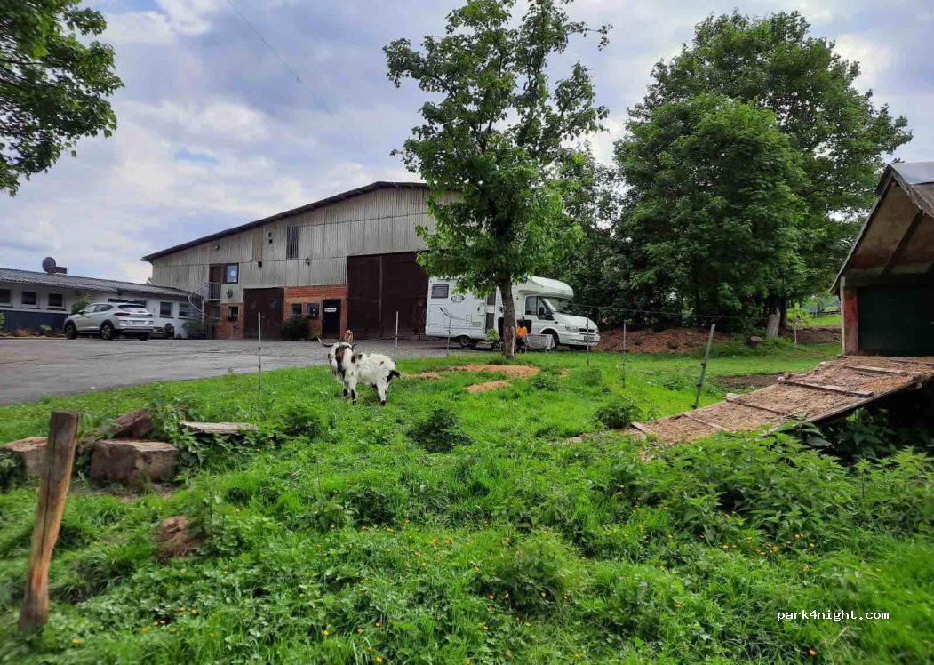 (36179) Bebra - Rosweg 7 — foto 2