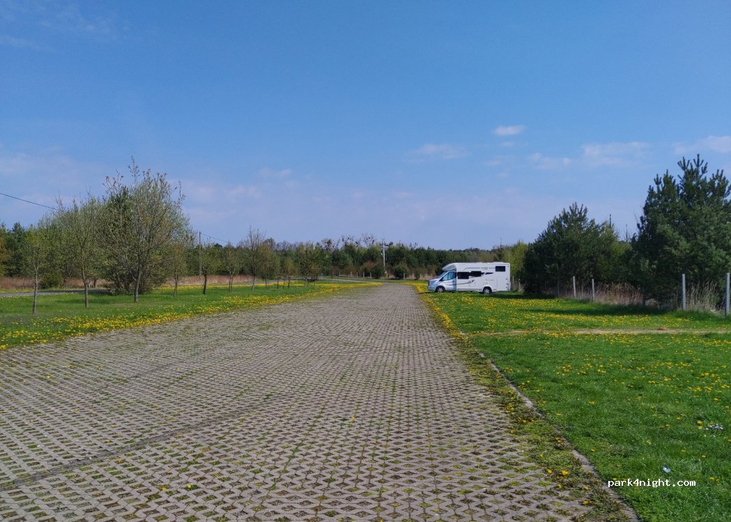 (56-500) Stradomia Wierzchnia - Sosnowa — foto