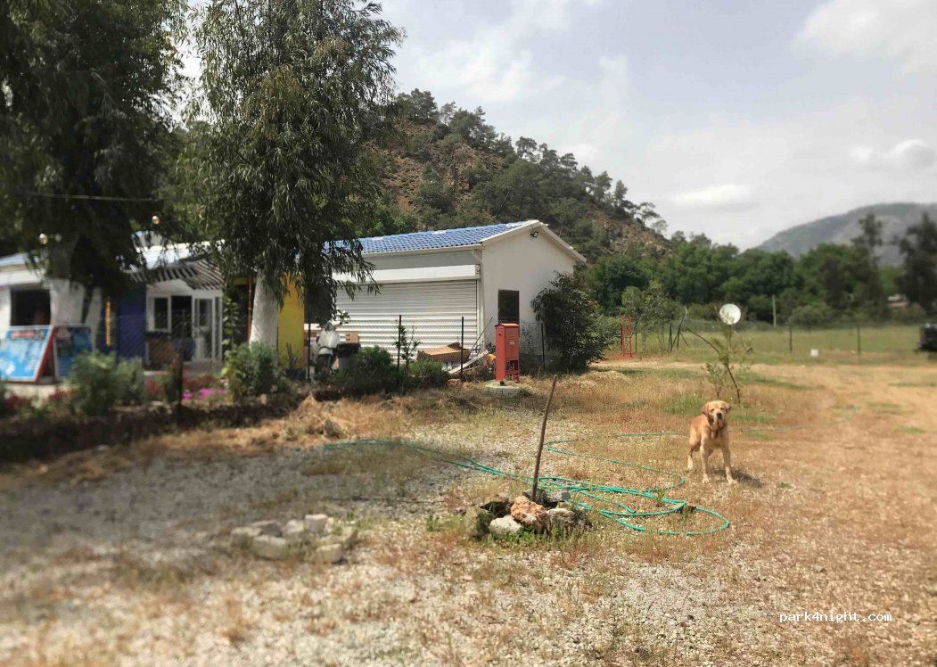 ÇAYLI CAMPİNG — foto