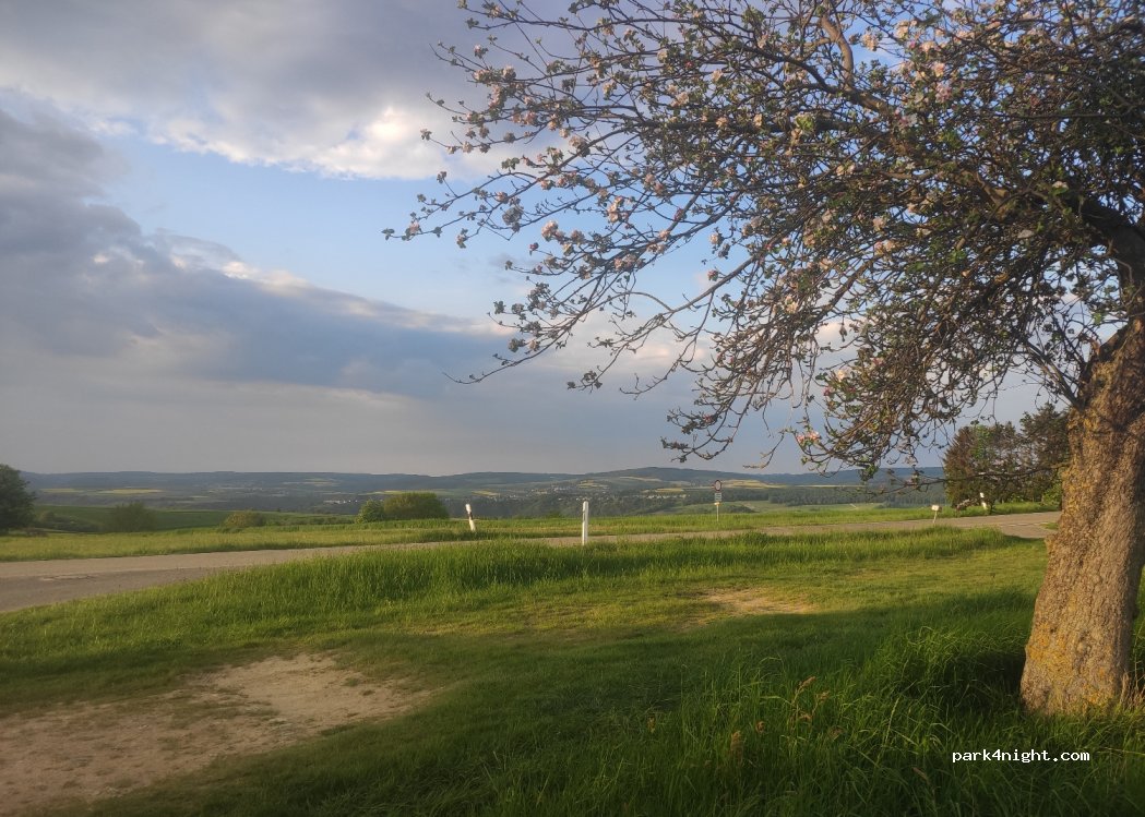 (55430) Urbar - Unnamed Road — foto 2