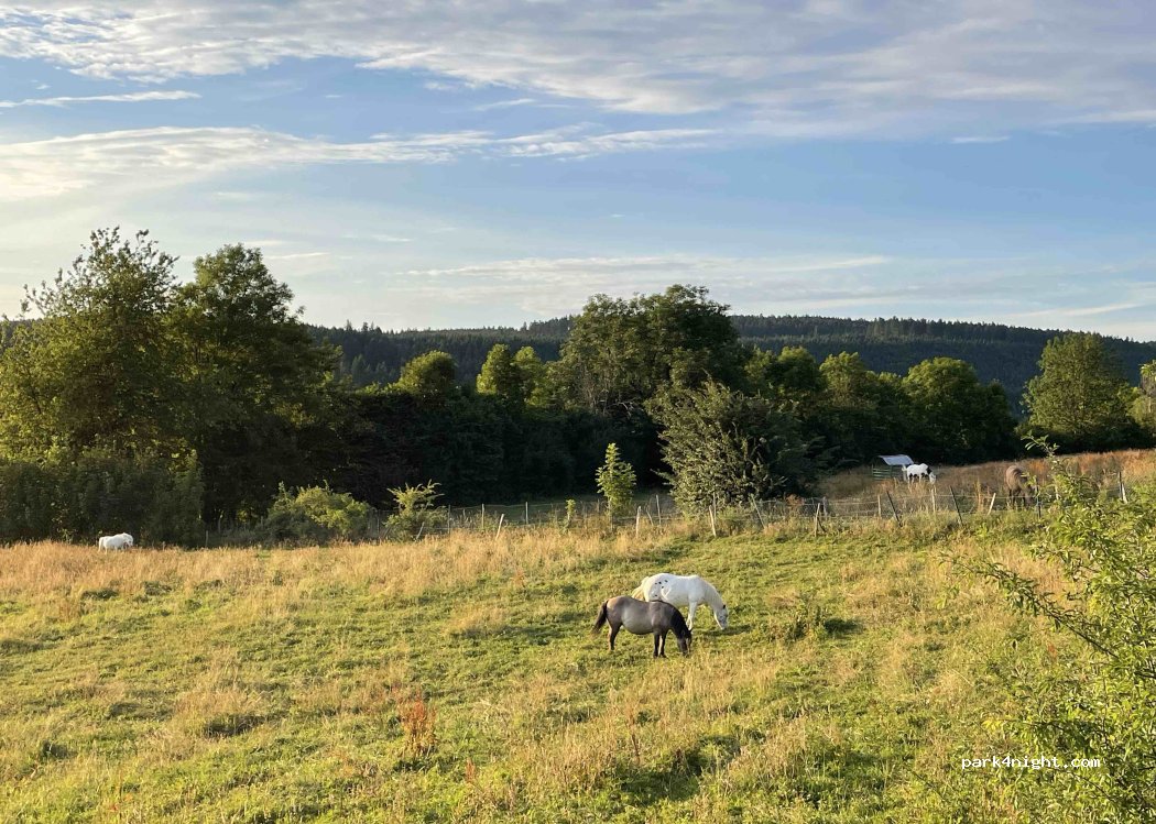 Camping le Larmont — foto 5
