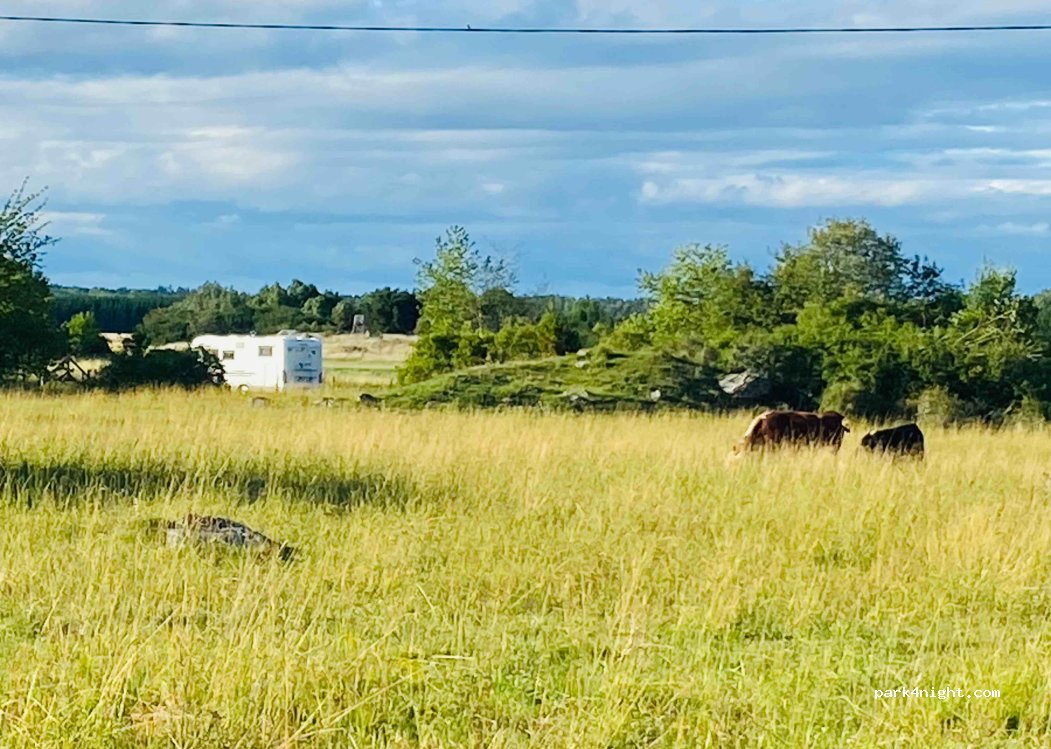 (725 91) Västerås - 18 Askö — foto 4