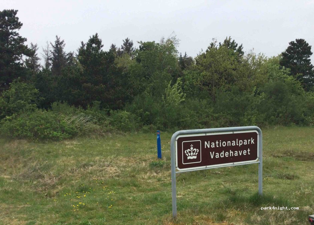 (6710) Esbjerg - 59 Sanatorievej — foto