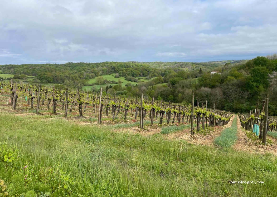 Domaine d'Esperbasque — foto 2