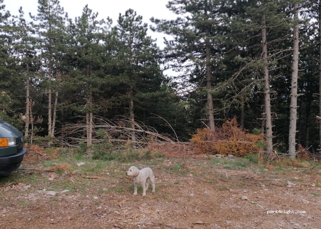 () Gorges du Tarn Causses - — foto 2