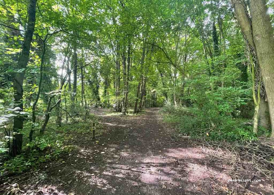 (S81 9RD) Costhorpe - Unnamed Road — foto