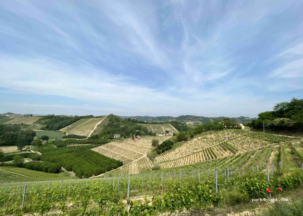 (14040) Vinchio - 14 Via Monghisio — foto 2
