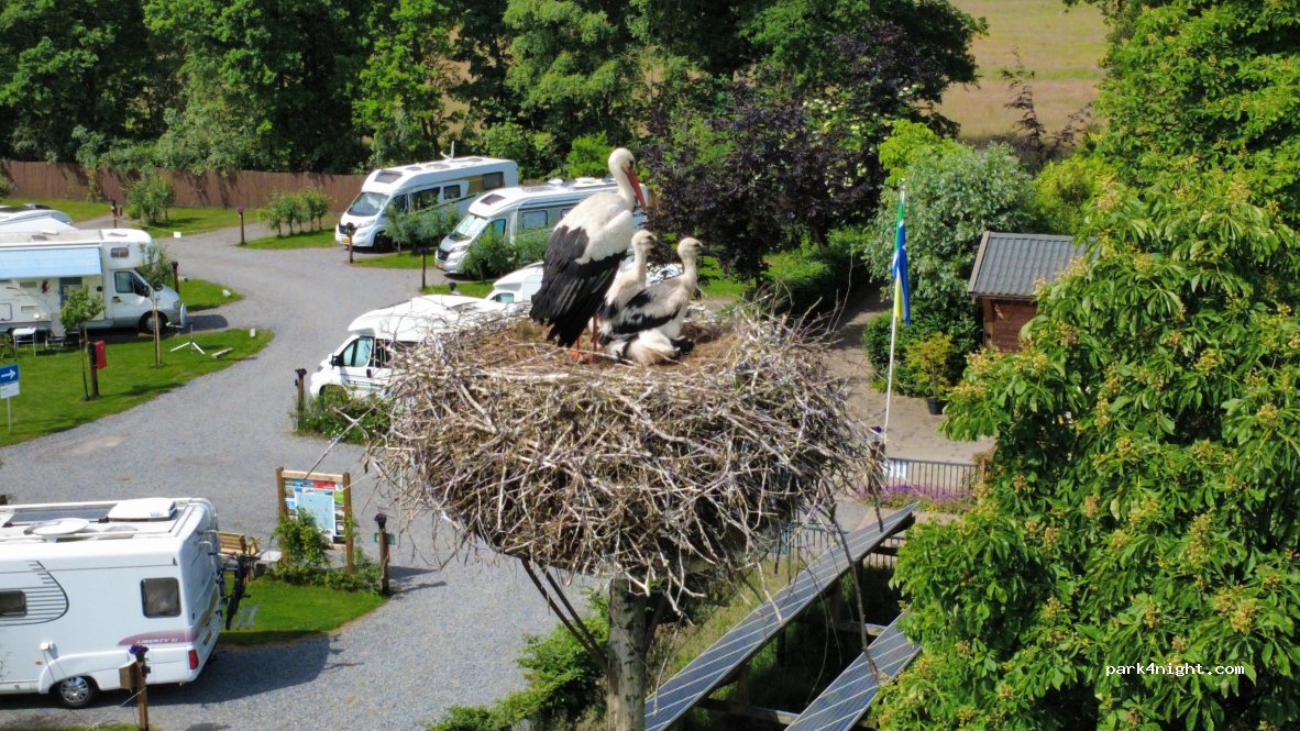 Camperplaats An de bèke — foto 4