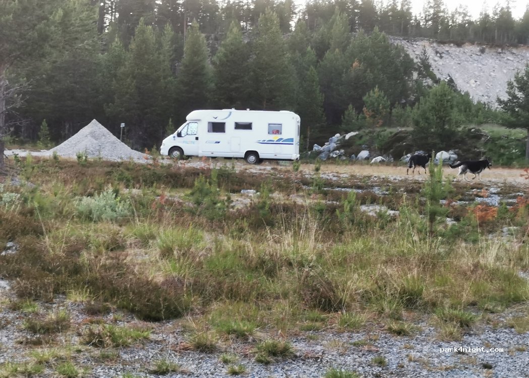 () Elgå - Fv221 — foto 2