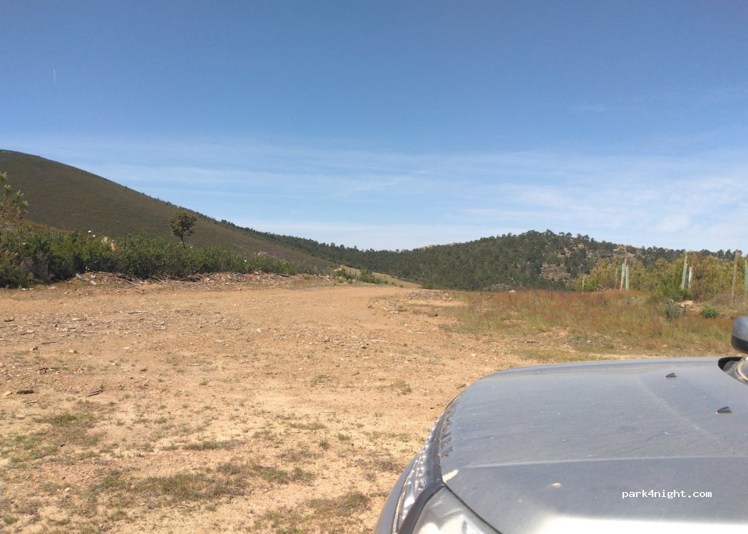 (10820) Cañaveral - — foto 2