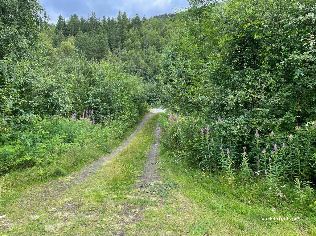() Bleiknesmo - — foto
