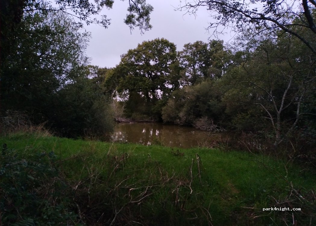 (56340) Carnac - Quelvezin — foto 3