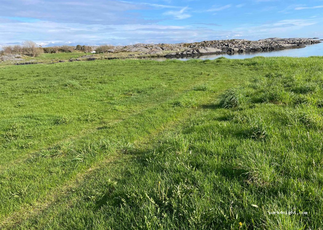 (8980) Vega - 283 Sørbygdveien — foto