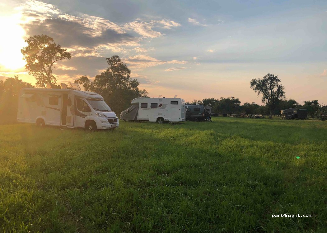Lama und Kamel Camping — foto 2