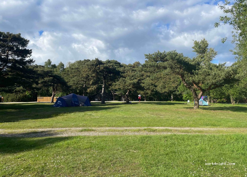 Burnbake Forest Lodges and Campsite — foto 2