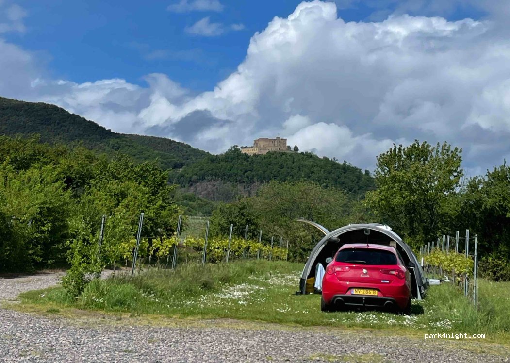 Weingut und Gästehaus Herty — foto 4