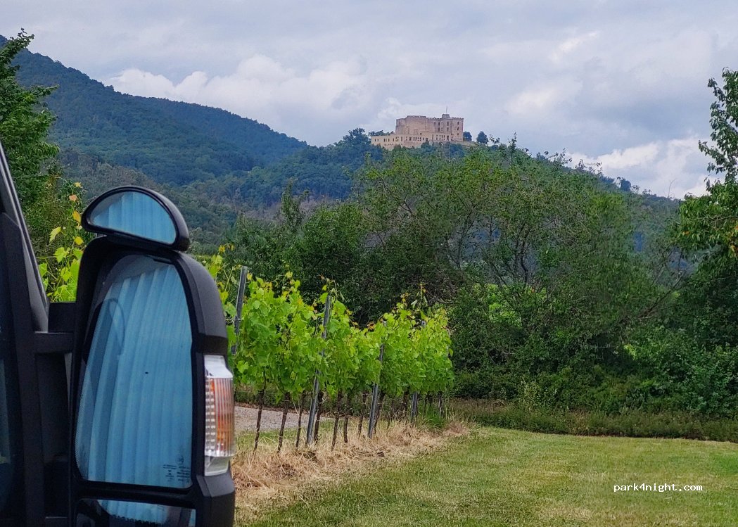 Weingut und Gästehaus Herty — foto 5