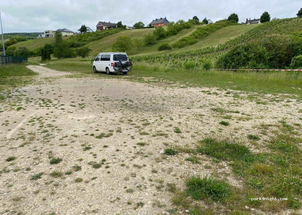 (54308) Langsur - 3 Brüderwies — foto 2