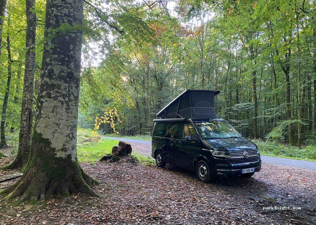 (61360) Belforêt-en-Perche - — foto 3