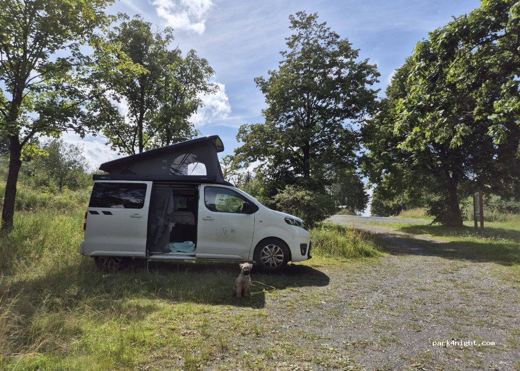 (59969) Hallenberg - — foto 3
