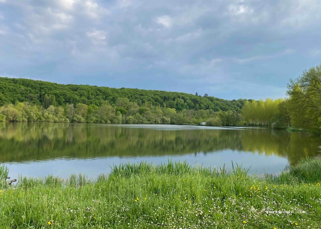 (41160) Fréteval - 485 Saint-Lubin — foto