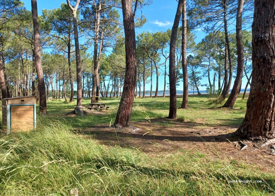 (40600) Biscarrosse - 3625 Route des Lacs — foto