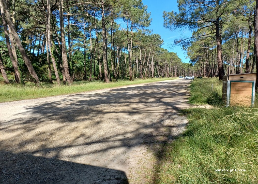 (40600) Biscarrosse - 3625 Route des Lacs — foto 2