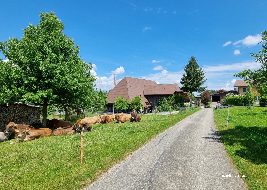 (3474) Rüedisbach - 299A Breitenegg — foto 3