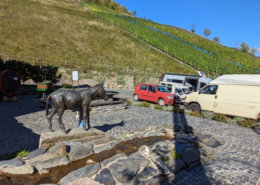 (55422) Bacharach - 250 L224 — foto 3
