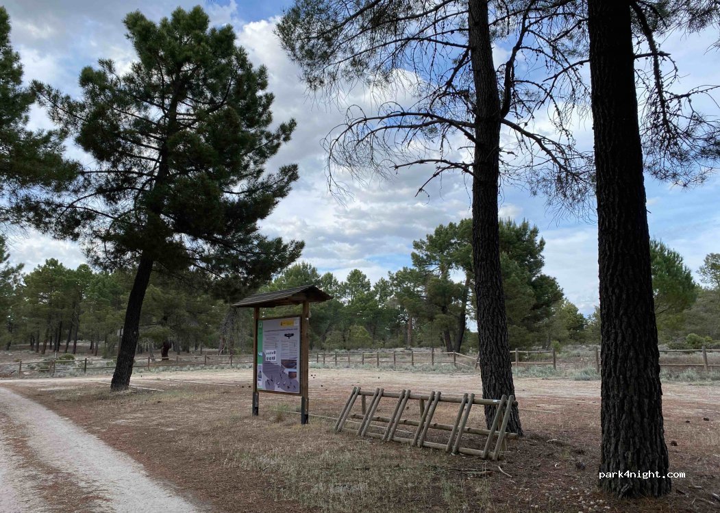 (40353) Hontalbilla - — foto 2