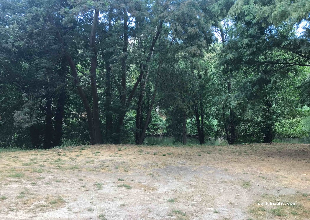 (3300) Secarias - — foto