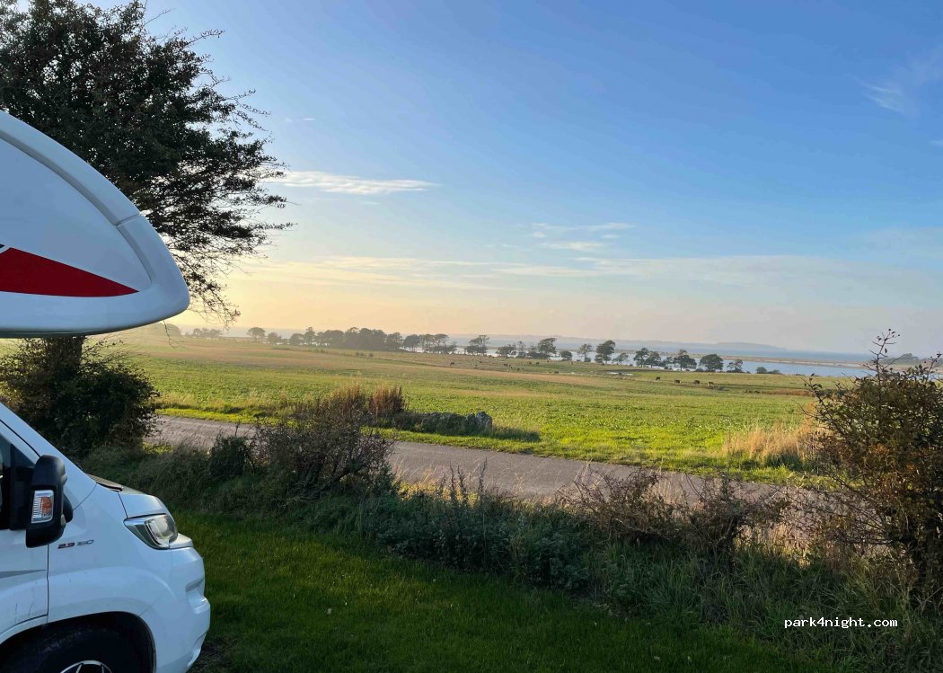 Dyndkrogvejens autocamper plads — foto 3