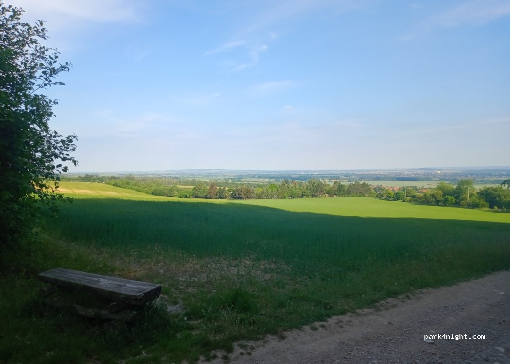 (38822) Sargstedt - — foto