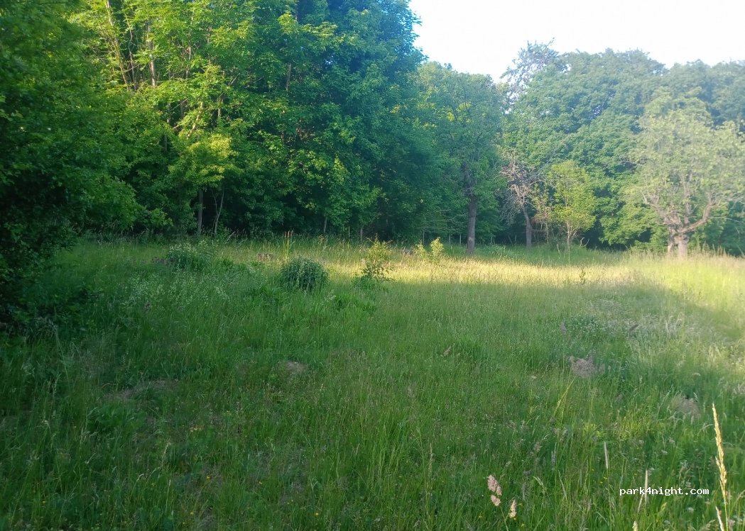(38822) Sargstedt - — foto 3